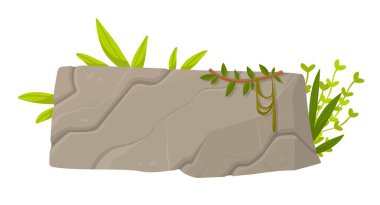 Taş ormanları düğmesi ya da panel. Metin, menü ve ayar tasarımı için yer. Yaprakları ve palmiyeleri olan bir kaya tahtası. Tropikal ve egzotik dekor elementi. Çizgi film düz vektör çizimi