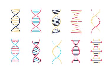 DNA simgeleri renk seti. Genetik mühendisliği ve mikrobiyoloji, moleküler kimya, gen. Bilimsel deney ve tıbbi araştırma. Beyaz arkaplanda izole edilmiş çizgi film düz vektör çizimleri