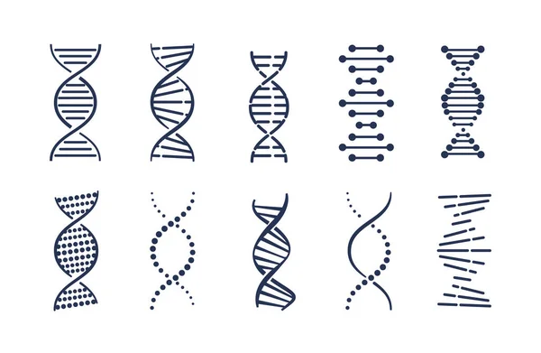 Dna Icons Set Collection Graphic Elements Website Structure Modlecule Cell — Stock Vector