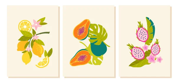 Tropische Patroonspandoeken Klaar Verzameling Posters Voor Website Met Exotisch Fruit — Stockvector
