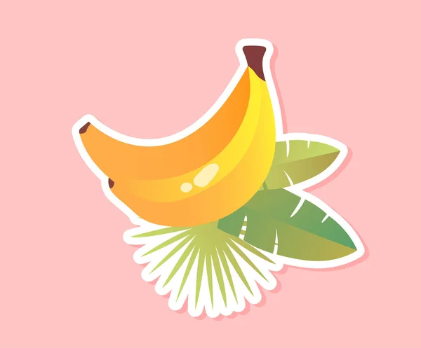 Έννοια Αυτοκόλλητου Μπανάνας Κίτρινα Φρέσκα Και Νόστιμα Φρούτα Τροπικό Και — Διανυσματικό Αρχείο