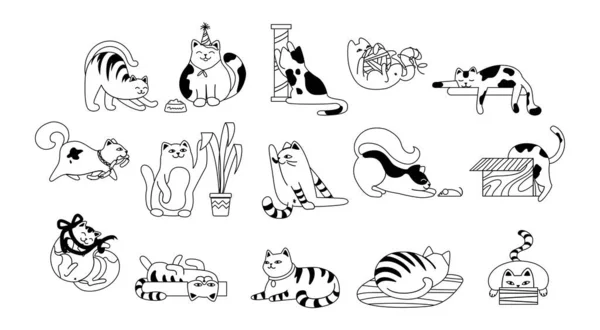 Cats Black White Set Collection Stickers Social Networks Pets Plant — Stock Vector