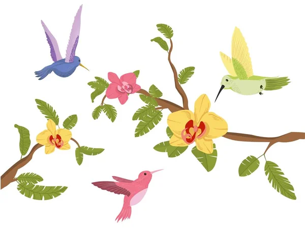 Pássaros Com Ramos Animais Multicoloridos Brilhantes Com Penas Asas Símbolo — Vetor de Stock