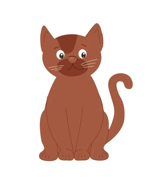 Cute Brown Kitten Standing Cat Domestic Animal Pet Stands Looks — Stock Vector