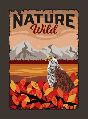 Doğasında kartal olan bir poster. Kuş, dağ manzarası ve yıldızlı gökyüzünün arka planında yaprakların arasında oturur. Sonbahar ulusal parkında uçan yırtıcılarla kaplı. Çizgi film düz vektör çizimi