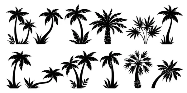 Ensemble Silhouette Palmiers Plantes Exotiques Noires Différentes Formes Bananiers Cocotiers — Image vectorielle