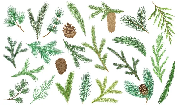 stock vector Set of Christmas tree branches. Evergreen pine growths with cones, cedar and coniferous twigs. Winter elements for New Year decorations. Cartoon flat vector collection isolated on white background