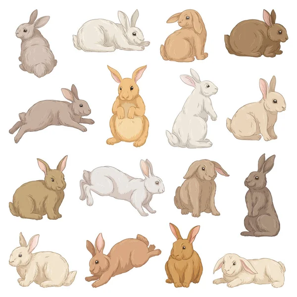 stock vector Cute hares set. Colorful rabbits with ears lie, jump, sit and run. Funny farm or forest animals. Fluffy grey, white and brown bunnies. Cartoon flat vector collection isolated on white background