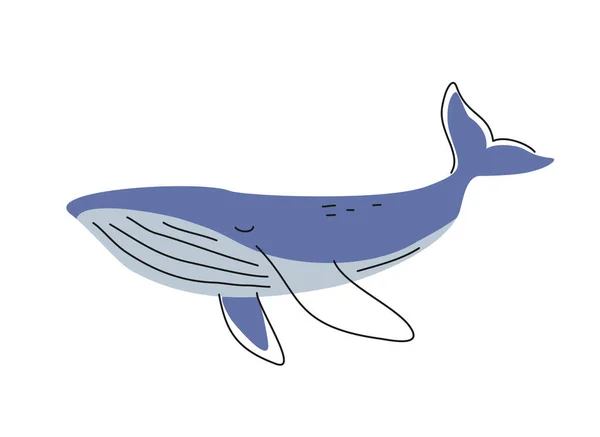 可爱的动物 用于纺织品和墙纸设计的蓝色大头鲸 具有海洋或海洋哺乳动物特征的涂鸦印刷品 在白色背景上孤立的卡通平面矢量图解 — 图库矢量图片