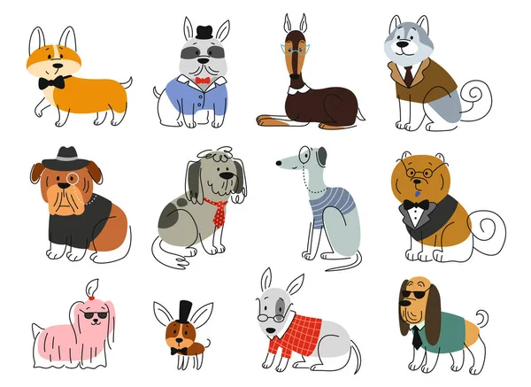 スーツセットの可愛い犬たち さまざまなポーズと手描きのスタイルの品種の線形美しい子犬 ウェブサイトやアプリのためのタキシードスでペットとドードルプリント 白い背景で隔離された漫画の平らなベクトル — ストックベクタ