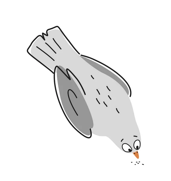 有趣的鸽子轮廓 用喙勾勒出城市鸽子吃谷物的轮廓 为包装或包装设计 用可爱的小鸟手绘图案 在白色背景上孤立的卡通平面矢量图解 — 图库矢量图片