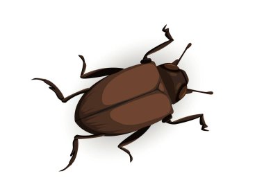 Sevimli böcek konsepti. Kahverengi böcek üst görünümü. Hayvan vahşi yaşamı. Biyoloji ve zooloji. Web sitesi afişi ya da afişi. Çizgi film düz vektör çizimi beyaz arkaplanda izole edildi