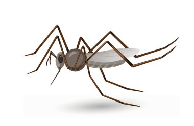 Tatlı örümcek konsepti. Bir sürü pençesi olan bir böcek. Ekosistem ve hayvanlar, vahşi yaşam ve biyoloji. Şablon, yerleşim ve modelleme. Çizgi film düz vektör çizimi beyaz arkaplanda izole edildi