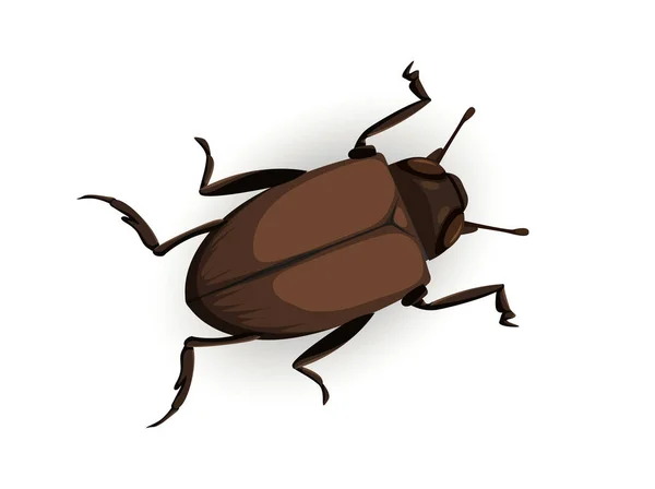 Nettes Bug Konzept Braune Insektenoberseite Tierisches Wildleben Biologie Und Zoologie — Stockvektor