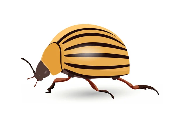 Niedliche Gelbe Käfer Konzept Insekt Mit Vielen Pfoten Und Flügeln — Stockvektor