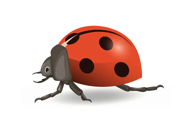 Mignon Concept Coccinelle Insecte Avec Nombreuses Pattes Ailes Insecte Rouge — Image vectorielle
