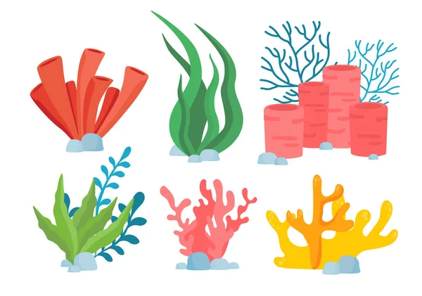 Conjunto Corales Algas Biología Botánica Elementos Del Paisaje Marino Naturaleza — Archivo Imágenes Vectoriales