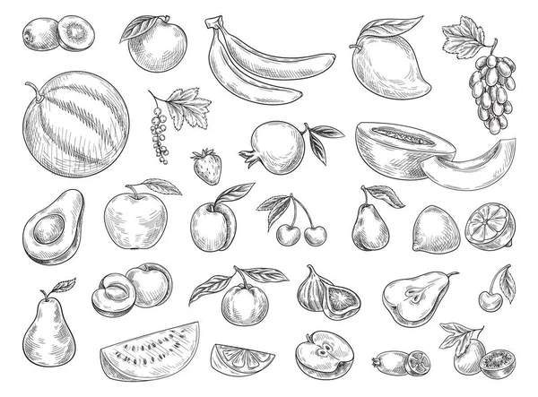 Conjunto Frutas Bagas Desenhadas Mão Ícones Adesivos Com Melancia Kiwi —  Vetores de Stock