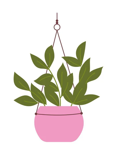 在金银花衣架上的家庭植物 有粉红壶和枝条绿叶的郁郁葱葱的花的薄片 社交网络的设计元素 在白色背景上孤立的卡通平面矢量图解 — 图库矢量图片