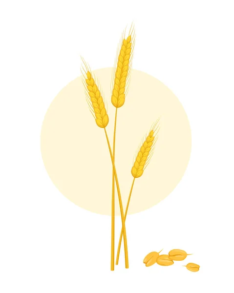 谷类作物的耳朵概念 天然和有机产品 农业和农业 社交网络和信使的贴纸 在白色背景上孤立的卡通平面矢量图解 — 图库矢量图片