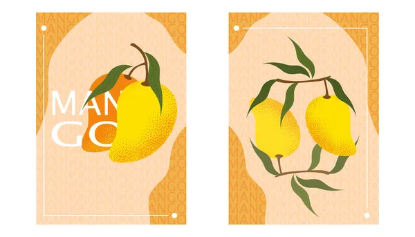 Sada Plakátů Mangem Dezert Pochoutka Letní Sezónu Ovoce Vitamíny Zdravé — Stockový vektor