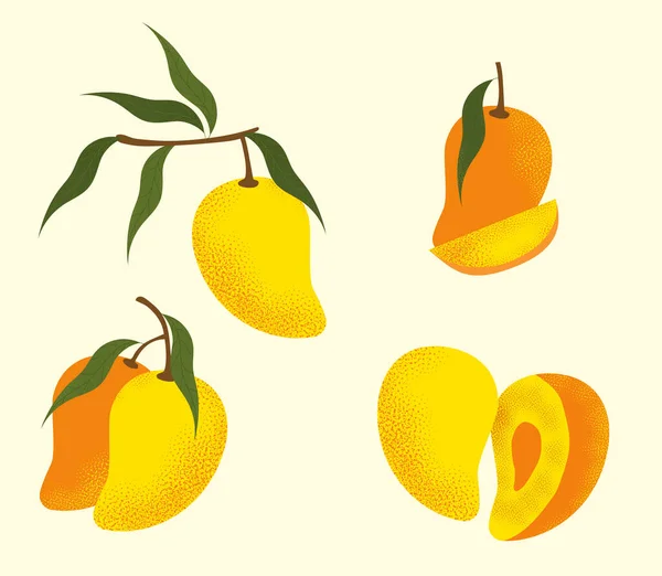 Conjunto Concepto Mango Productos Naturales Orgánicos Las Ramas Rebanadas Frutas — Archivo Imágenes Vectoriales