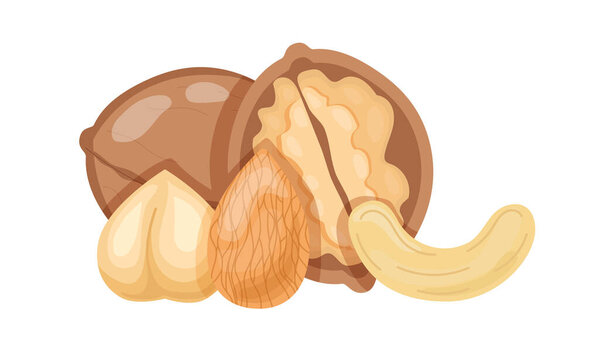 Set of nuts concept. Vegetarian and healthy diet. Products with healthy fats. Natural and organic eating. Peanut and nutshell. Cartoon flat vector collection isolated on white background