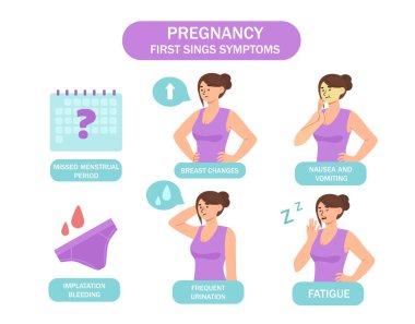 Hamilelik ilk belirtileri belirler. Göğüs değişiklikleri, adet görememe, yorgunluk ve sık sık işeme. Tıbbi bilgiler ve eğitim materyalleri. Çizgi film düz vektör çizimi