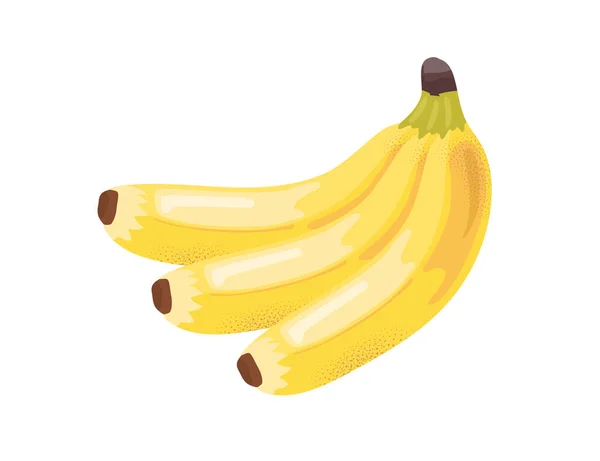 バナナコンセプトのブッシュ 有機製品について 熱帯の夏のデザートと繊細さ Webサイトのポスターまたはバナー 白い背景に隔離された漫画の平らなベクターのイラスト — ストックベクタ