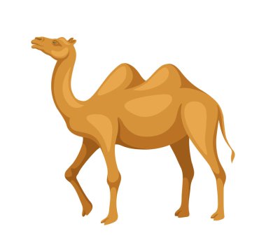 Hint devesi ve eyer konsepti. Geleneksel Hint kıyafetleriyle bir hayvan. Bedevi kervanı. Web sitesi için grafik ögesi. Çizgi film düz vektör çizimi beyaz arkaplanda izole edildi