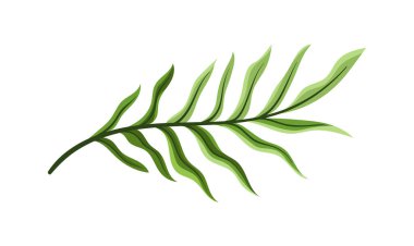 Egzotik yaprak kavramı. Tropikal dal ve bitki parçası. Orman ve yağmur ormanları. Yeşillik ve bitki örtüsü, vahşi yaşam. Sosyal medya etiketi. Çizgi film düz vektör çizimi beyaz arkaplanda izole edildi