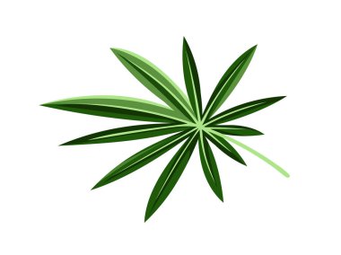 Egzotik yaprak kavramı. Tropikal dal ve bitki parçası. Orman ve yağmur ormanları. Çiçekçilik ve botanik. Sosyal ağlar için etiket. Çizgi film düz vektör çizimi beyaz arkaplanda izole edildi