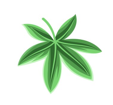 Egzotik yaprak kavramı. Tropikal dal ve bitki parçası. Orman ve yağmur ormanları. Yeşillik ve vahşi hayat. Estetik ve zarafet. Çizgi film düz vektör çizimi beyaz arkaplanda izole edildi