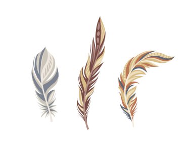 Bir dizi kuş tüyü konsepti. Kuş kanatlarının bir parçası. Hint kıyafetleri için dekor elementi. Yazarlık ekipmanları. Web sitesi için grafik ögesi. Çizgi film düz vektör koleksiyonu beyaz arkaplanda izole edildi