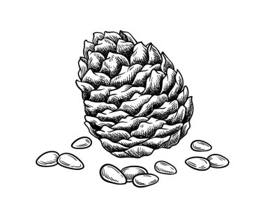 Çizgiyi aşma. Minimalist yaratıcılık ve sanat. Doğal ve organik ürünlerin çizimi. Web sitesi için grafik ögesi. Beyaz arkaplanda izole edilmiş doğrusal düz vektör çizimi