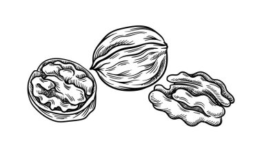 Çizgiyi aşma. Minimalist yaratıcılık ve sanat. Doğal ve organik ürünlerin çizimi. Sağlıklı sonbahar yemekleri ve yağlar. Beyaz arkaplanda izole edilmiş doğrusal düz vektör çizimi