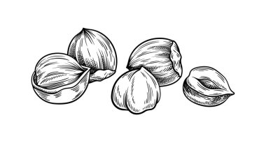 Çizgiyi aşma. Minimalist yaratıcılık ve sanat. Doğal ve organik ürünlerin çizimi. Sağlıklı beslenme. Web sitesi için grafik ögesi. Beyaz arkaplanda izole edilmiş doğrusal düz vektör çizimi