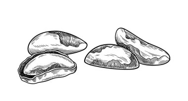 Çizgiyi aşma. Minimalist yaratıcılık ve sanat. Doğal ve organik ürünler. Sağlıklı beslenme skeci. Şablon ve düzen. Beyaz arkaplanda izole edilmiş doğrusal düz vektör çizimi