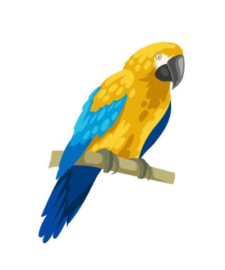 Şirin renkli bir papağan. Mavi ve sarı kuş, tüylü şirin hayvan. Tropikal ve egzotik memeliler. Web sitesi için grafik ögesi. Çizgi film düz vektör çizimi beyaz arkaplanda izole edildi
