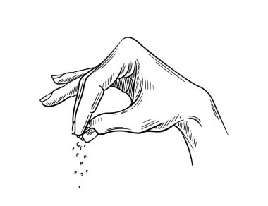 Tuz elle çizilmiş eskiz. Minimalist yaratıcılık ve sanat. Yemek yapmak, yemek hazırlamak. Şefin eli ya da tuzlu aşçı. Poster ya da afiş. Beyaz arkaplanda izole edilmiş doğrusal düz vektör çizimi