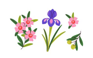 Hırvatistan element kavramı. Renkli çiçekler ve bitkiler. Avrupa 'yı gezmek. Sosyal ağlar ve kuryeler için çıkartmalar. Çizgi film düz vektör çizimi beyaz arkaplanda izole edildi