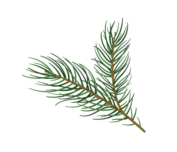 Koncept Borovice Součást Vánočního Stromečku Les Divoká Zvěř Flóro Příroda — Stockový vektor