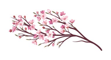 Sakura pembe dal konsepti. Ağaç ve bitkinin bir parçası. Japon ve Asya bahçeleri. Flora ve doğa, ekosistem. Şablon ve düzen. Çizgi film düz vektör çizimi beyaz arkaplanda izole edildi