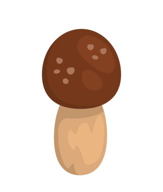 Taze mantar konsepti. Doğal ve organik yiyecekler. Sonbahar ve sonbahar mevsiminde hasat ve hasat. Sağlıklı yiyecekler. Poster ya da afiş. Çizgi film düz vektör çizimi beyaz arkaplanda izole edildi