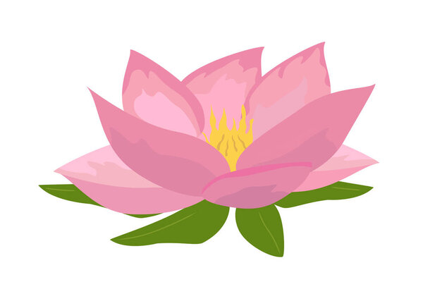 Lotus aquatic plant. Bloom and blossom flower. Pink water lilly. Beauty, elegance and aesthetics. Poster or banner for website. Cartoon flat vector illustration isolated on white background