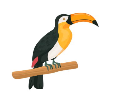 Şube konseptinde egzotik bir kuş. Büyük gagalı ve renkli tüylü bir hayvan. Tropikal hayvanlar ve vahşi yaşam. Yağmur ormanı ve orman. Çizgi film düz vektör çizimi beyaz arkaplanda izole edildi