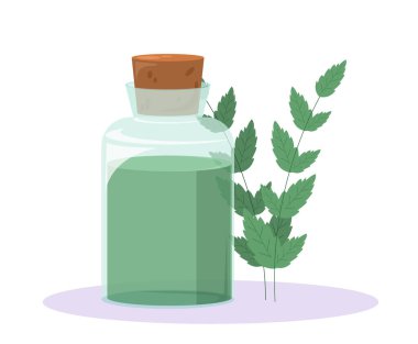 Bitkisel tıp konsepti. Yeşil sıvılı cam şişeler. Sağlık ve tedavi. Web sitesi için grafik ögesi. Çizgi film düz vektör çizimi beyaz arkaplanda izole edildi