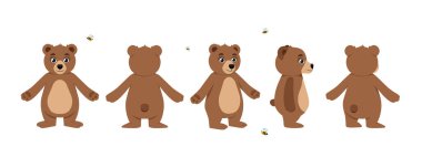 Animasyon için karakter oluşturucu seti. Önden, arkadan ve yandan sevimli vahşi hayvan vücudu. Farklı pozlarda sevimli bir ayı. Çizgi film düz vektör koleksiyonu beyaz arkaplanda izole edildi