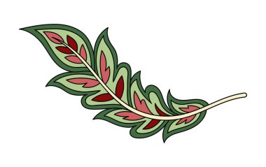 Paisley yaprağı doğrusal. Şablon ve süs. Estetik ve zarafet. Dokular ve duvar kağıtları için bir element. Sosyal ağlar için etiket. Beyaz arkaplanda izole edilmiş düz vektör çizimi