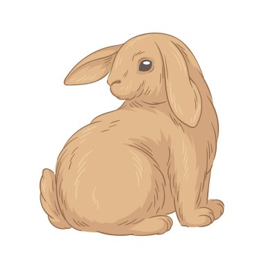 Şirin kürklü tavşan konsepti. Orman sakini çizimi. El çizimi sanat. Sevimli tavşan. Sosyal ağlar ve kuryeler için etiket. Çizgi film düz vektör illüstrasyonuName
